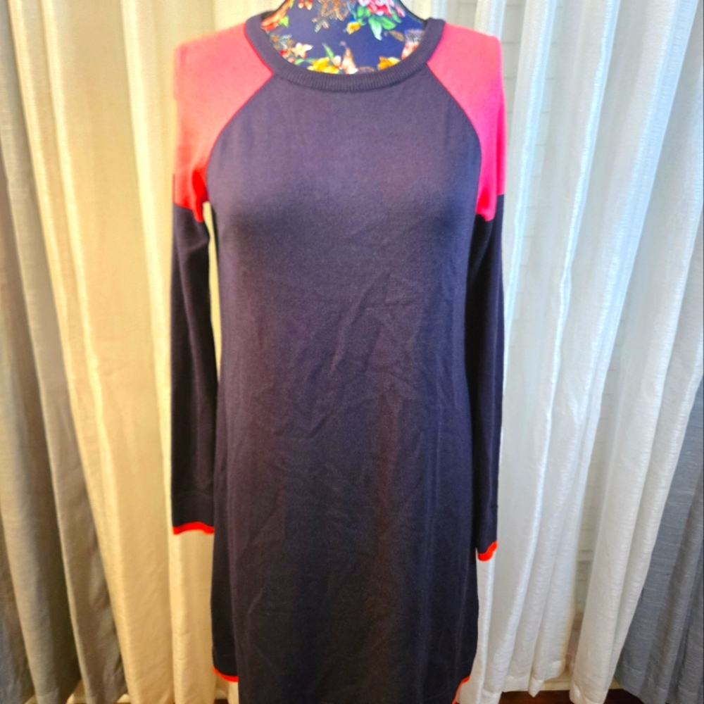 Eliza J Colorblock Long Sleeve Dress